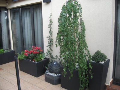 projek-relaksacyjny-ogrod-w-nowoczesnych-donicach-z-elementem-wodnym-krakow-1