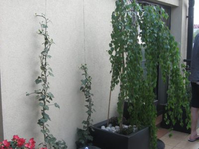 projek-relaksacyjny-ogrod-w-nowoczesnych-donicach-z-elementem-wodnym-krakow-4