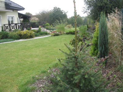 projekt-ogrod-naturalistyczny-krakow-4