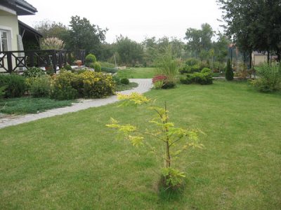projekt-ogrod-naturalistyczny-krakow-8