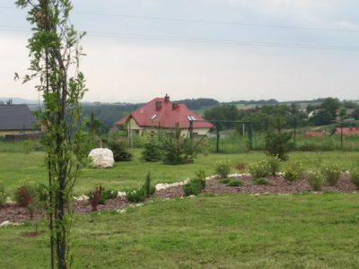 projekt-ogrodu-lesnego-uzupelnionego-laka-kwietna-krakow-5