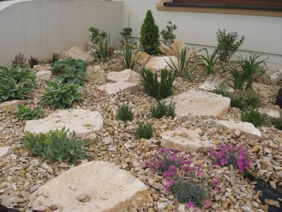 projekt-ogrodu-skalnego-w-zalozeniach-naturalistycznych-krakow-11