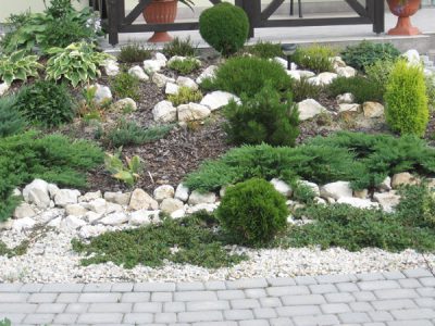 projekt-ogrodu-skalnego-w-zalozeniach-naturalistycznych-krakow-3