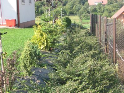 projekt-ogrodu-w-stylu-nowoczesnym-latwym-w-pielegnacji-krakow-6