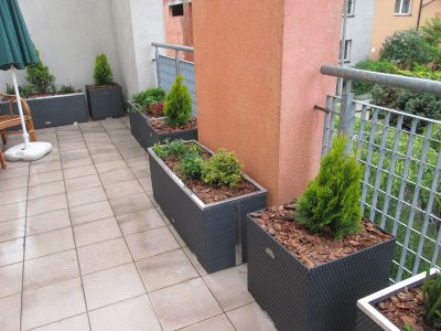 projektowanie-ogrodow-krakow-46