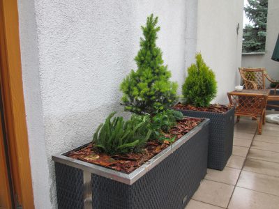projektowanie-ogrodow-krakow-47
