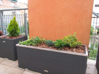 projektowanie-ogrodow-krakow-48