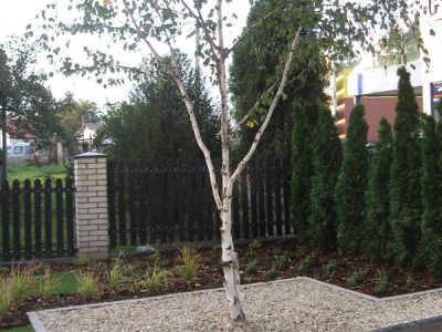 projektowanie-ogrodow-krakow-54