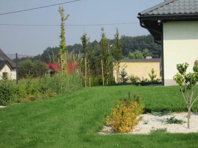 zakladanie-ogrodow-krakow-11