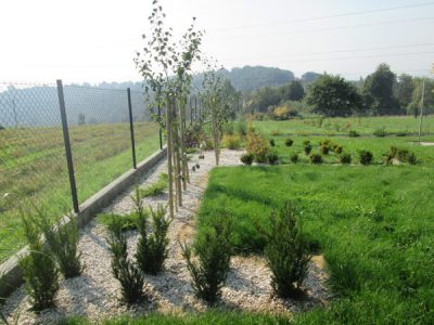 zakladanie-ogrodow-krakow-6